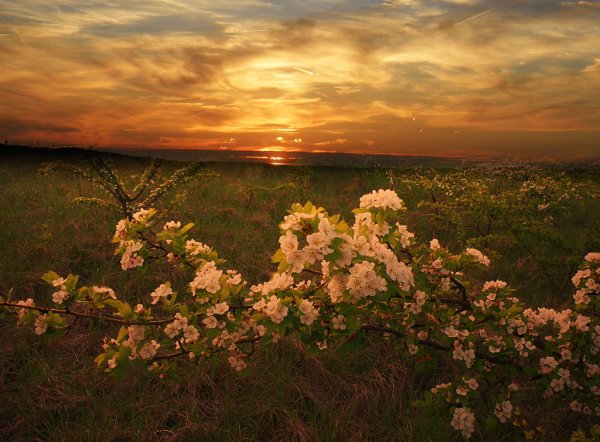 Весна рассвет