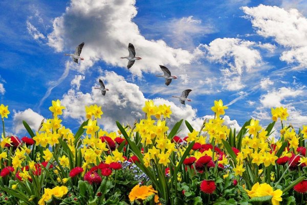 Яркие весенние пейзажи Baner