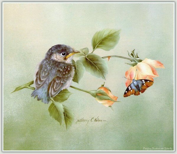 Художник Шерри Нельсон