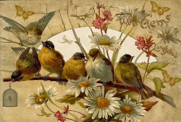 Винтажные птицы для декупажа