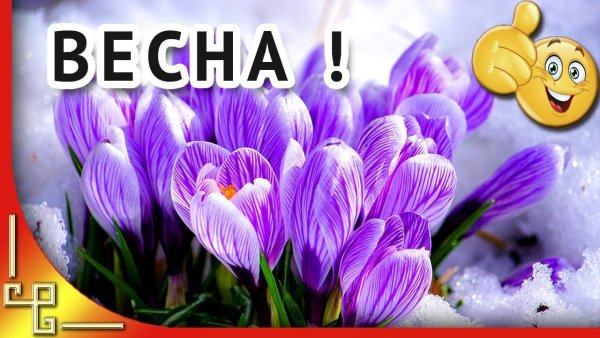 Открытки с весной