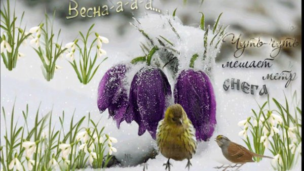 Прощай зима Здравствуй Весна