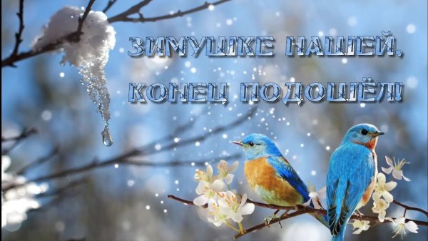 Прощай зима