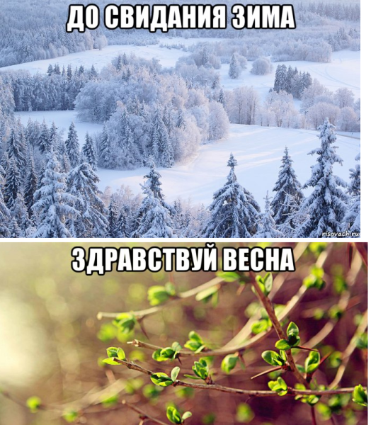 Встреча зимы и весны