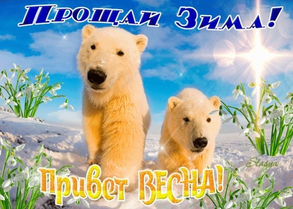 Привет, Весна!