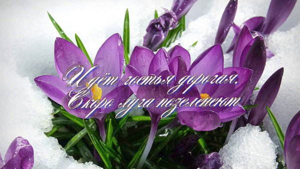 Открытки с приходом весны