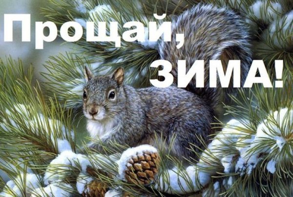 Открытки ждем весну и тепло