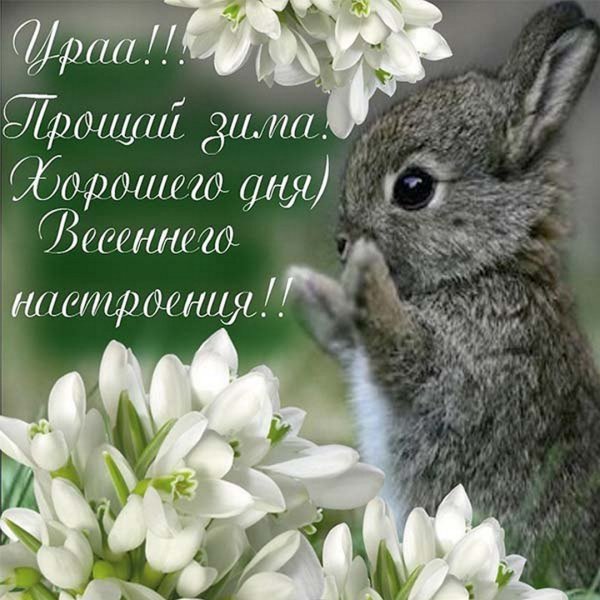 Февраль скоро Весна