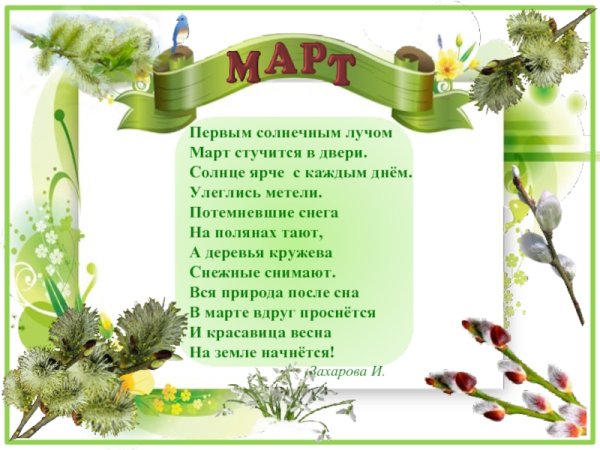 Фон для расписания