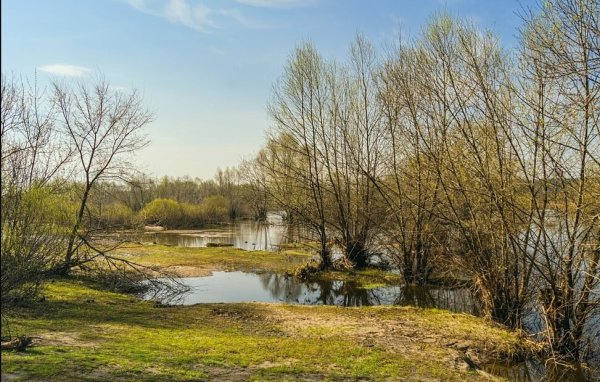 Природа Весна апрель