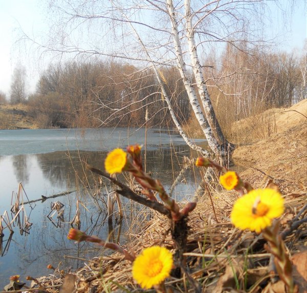 Апрель середина весны