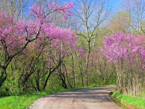 Весна апрель