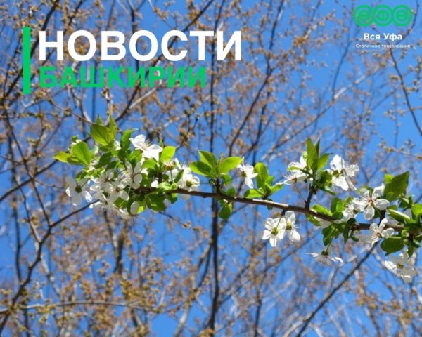 Природа ранней весной