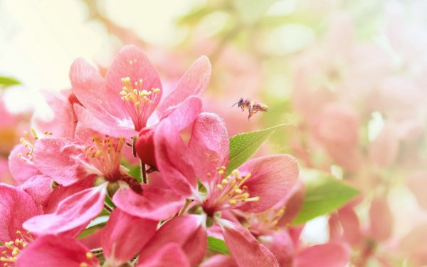 Майский календарь