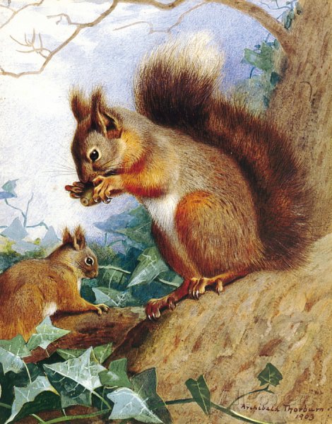 Дикие животные зимой для детей