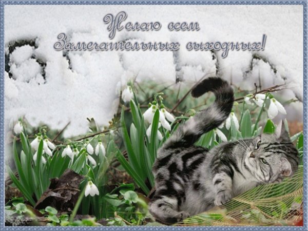 Добрых выходных и весеннего настроения