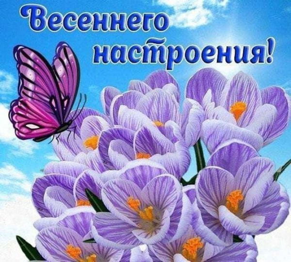 Отличного весеннего настроения