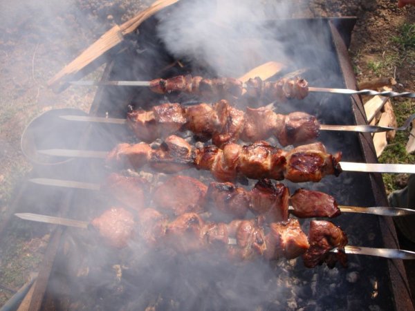 Жулебинский лесопарк шашлык