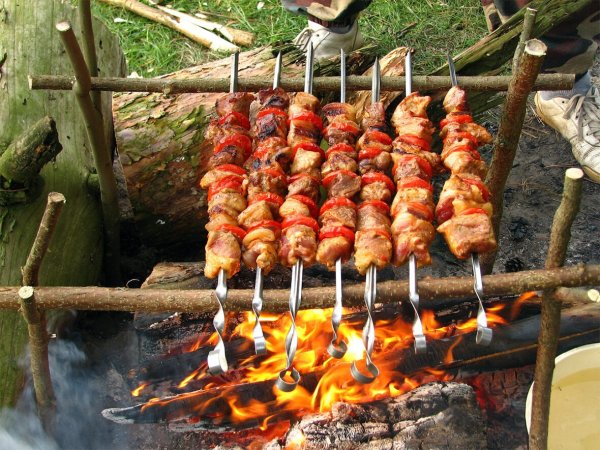 Шашлыки на природе лето