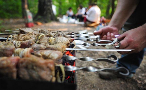 Весна шашлыки