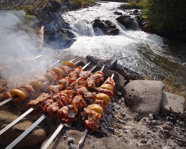 Шашлык в машине