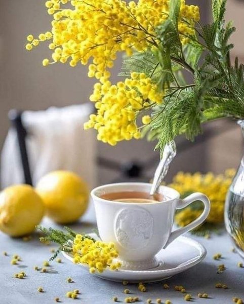 Доброе Весеннее утро