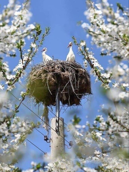 Доброе утро
