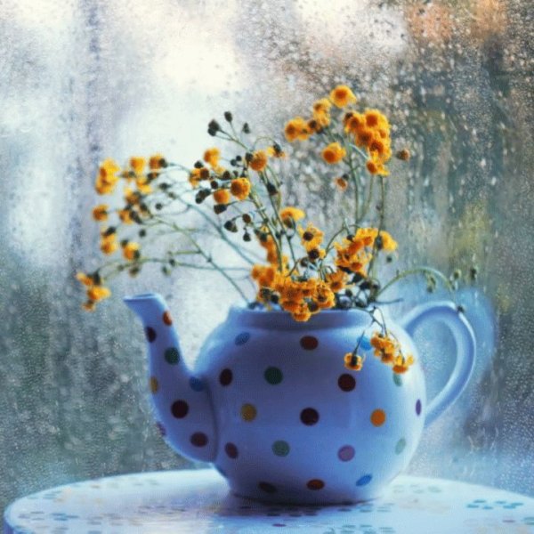 Хорошего настроения в любую погоду