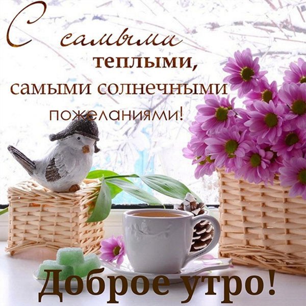 Доброе утро солнечного дня Весна
