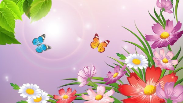 Фон с цветами и бабочками