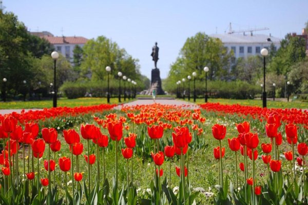 Площадь Максима Горького