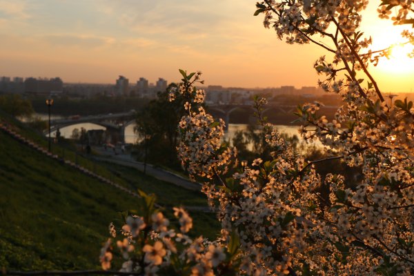 Нижний Новгород природа и облик города