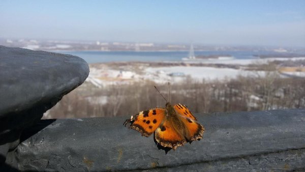 Нижний Новгород Весна