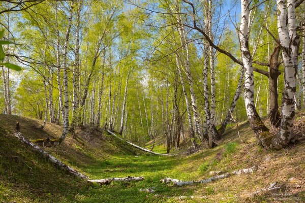 Весна в Нижегородской области