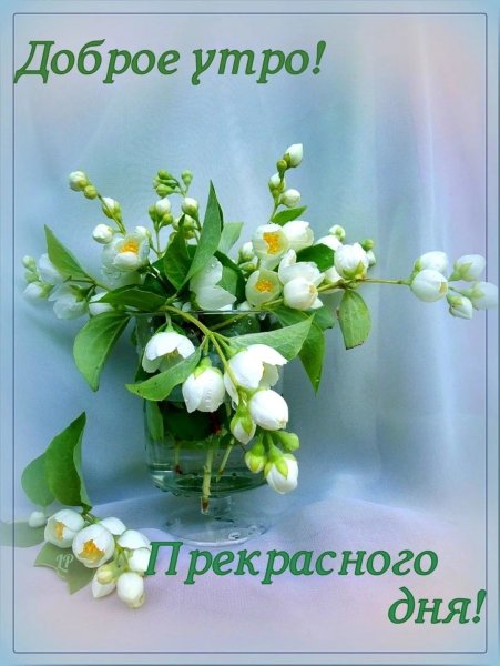 Душевные пожелания с добрым утром