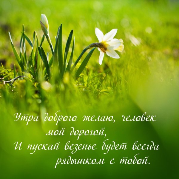 Доброе Весеннее утро с надписями