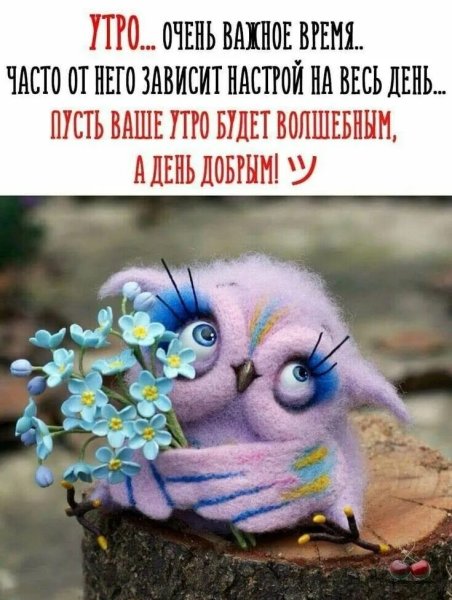 Прекрасный день