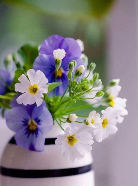 Доброе утро летние с улыбкой