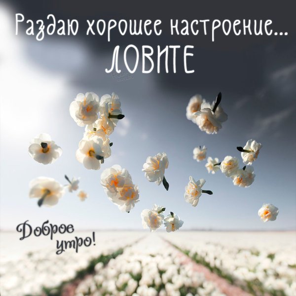 Подснежники фон