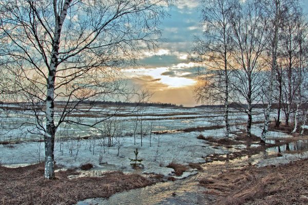 Конец марта природа