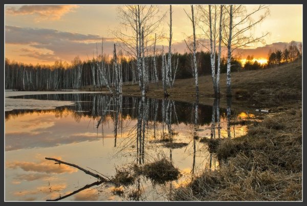 Вечерний весенний пейзаж