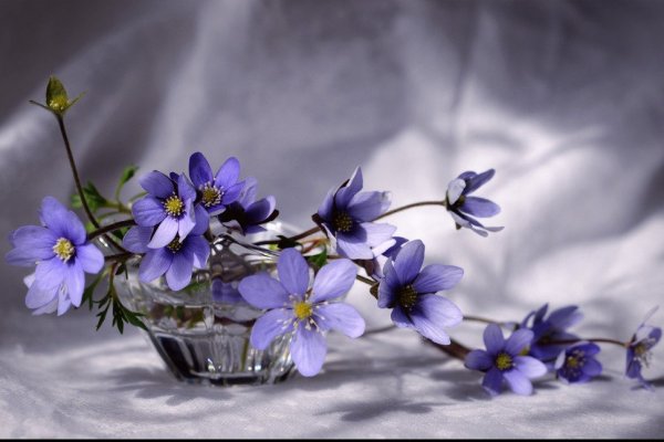 Нежного весеннего вечера