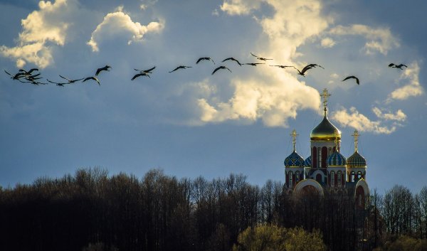 Храм природа Клин журавлей