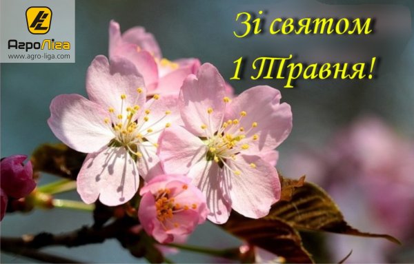 1 Мая праздник весны и труда