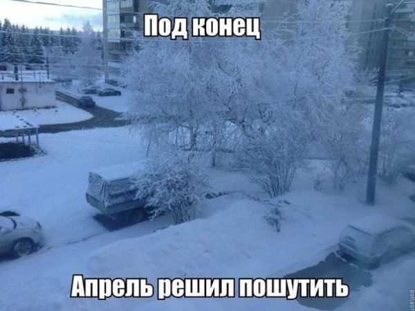 Про снег в апреле смешные