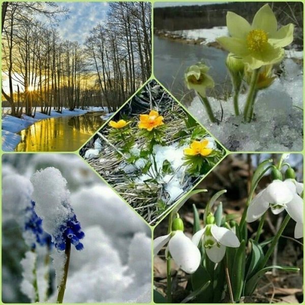 Апрель природа просыпается