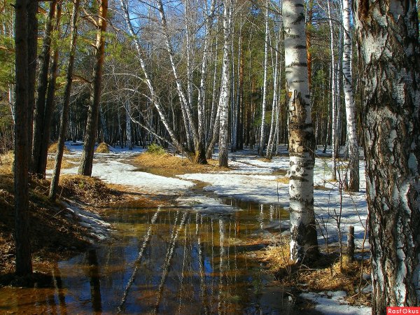 Василий Жуковский приход весны