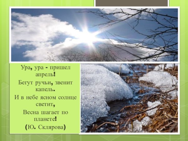 Апрель капель и птицы