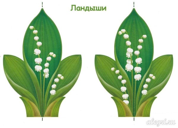 Весенние цветы для вырезания