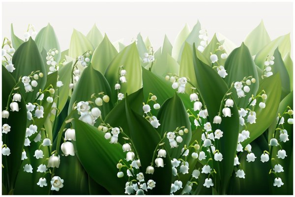 Поляна ландышей